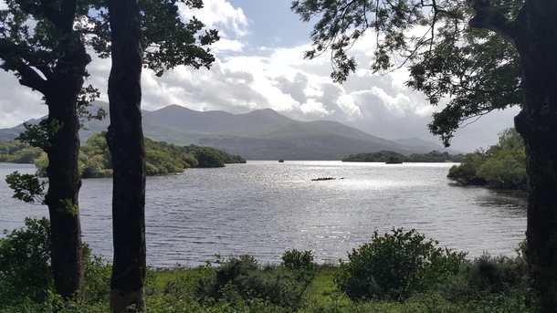 A view of Lough Leane from a trail in Killarney National Park Ireland OC x