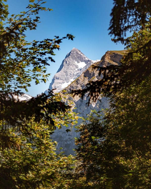 A view of the Eiger from my last day backpacking through the Swiss Alps 