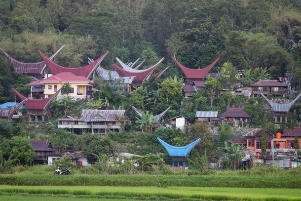 A village in Tana Toraja region Sulawesi Indonesia