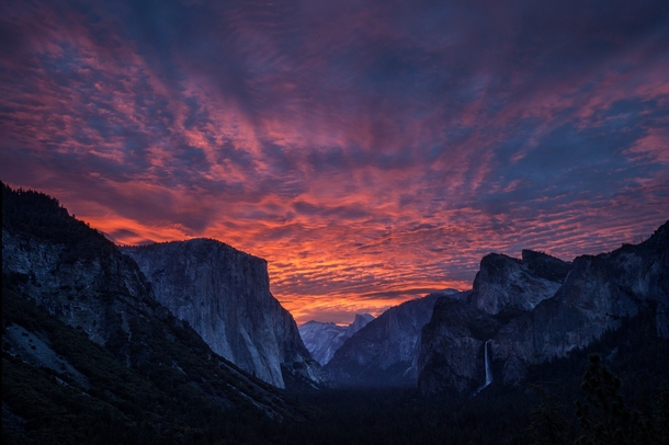 A Yosemite Morning 