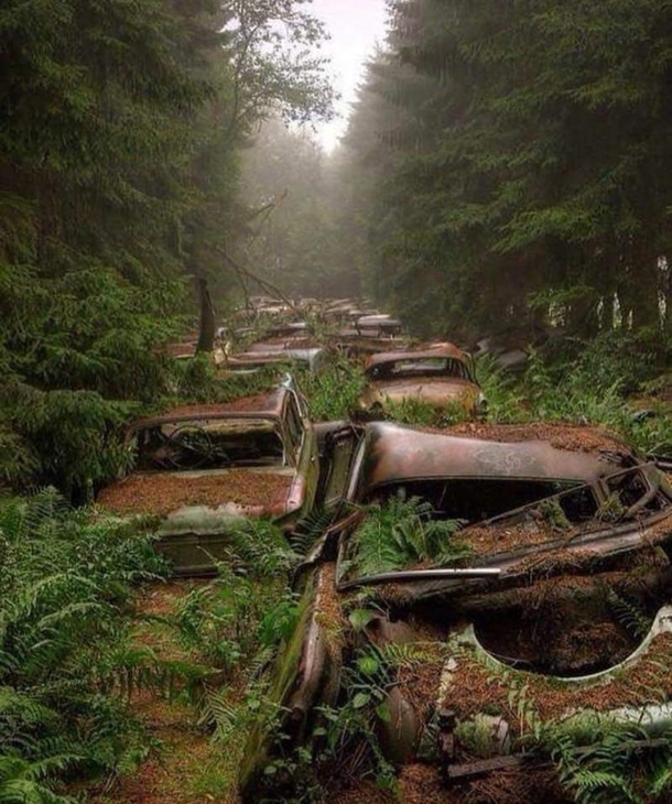 Abandoned American vehicles in a Belgian forest Still there to this day