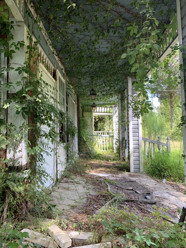 Abandoned and overgrown home North Carolina