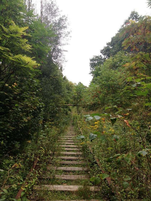 Abandoned and Overgrown track in Toronto Canada 