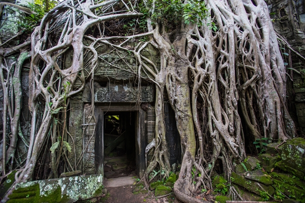 Abandoned Angkor Wat temple complex of the Khmer Empire 
