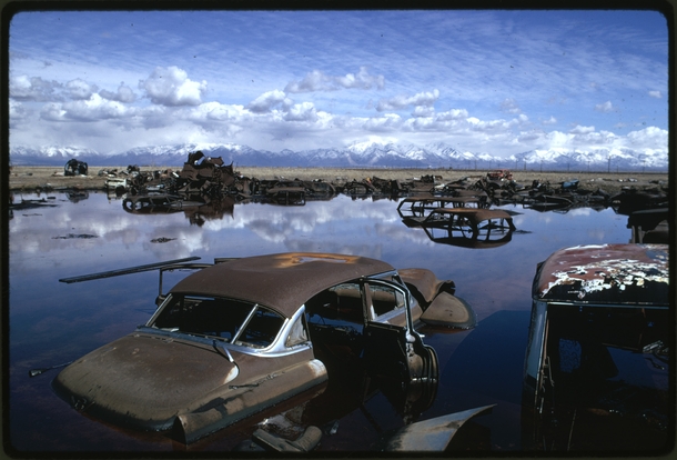 Abandoned Automobiles and Other Debris Clutter an Acid Water and Oil Filled Five Acre Pond 