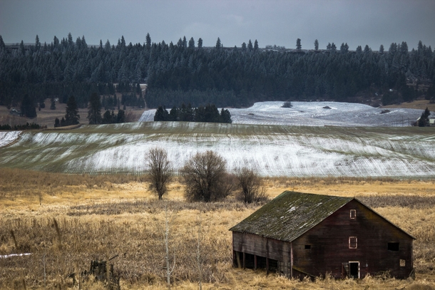 Abandoned Barn Feryn Conservation Area Near Mt Spokane WA 