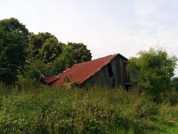 Abandoned barn in northern Germany 