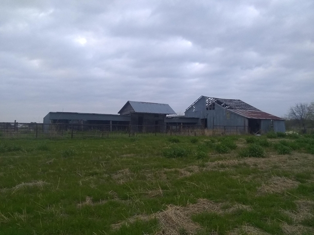 Abandoned barn in the field next to my house 