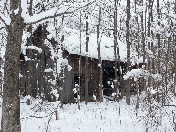 Abandoned Barn In The Middle Of The Woods Photorator