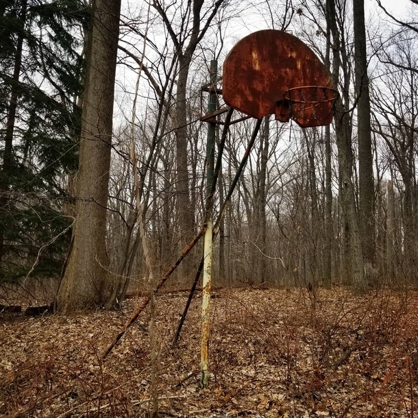 Abandoned basketball hoop in the middle of the woods Central Pa