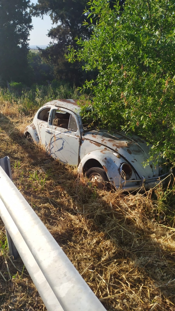Abandoned beetle near highway in Cyprus 