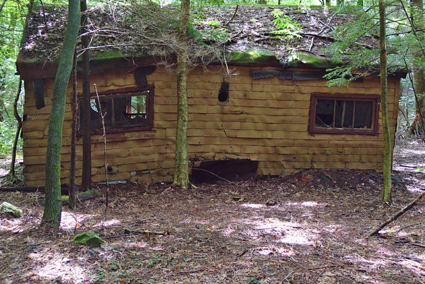 Abandoned cabin in rural PA looks like a sad face