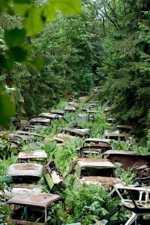 Abandoned cars in the Ardennes 