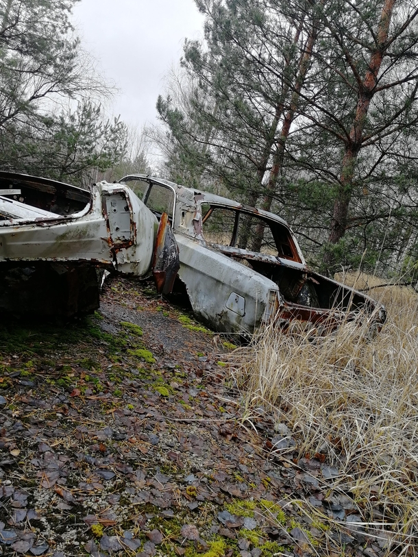 Abandoned cars in the Chernobyl Exclusion Zone