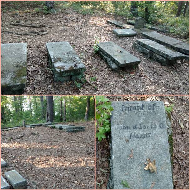 Abandoned cemetery on a island on Lake Hartwell Townville Sc