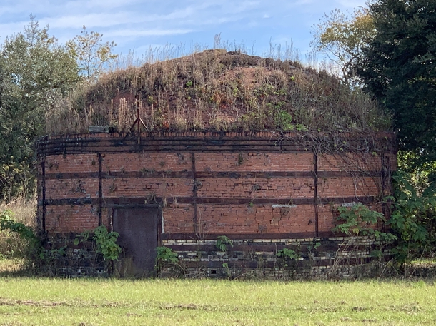 Abandoned charcoal kiln one of several in north central Florida
