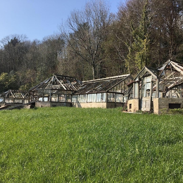 Abandoned destroyed greenhouse