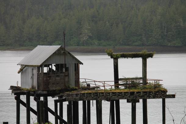 Abandoned Dock near Prince Rupert BC 