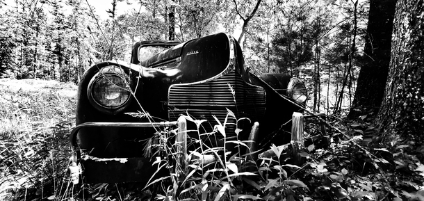 Abandoned dodge on a property in nh