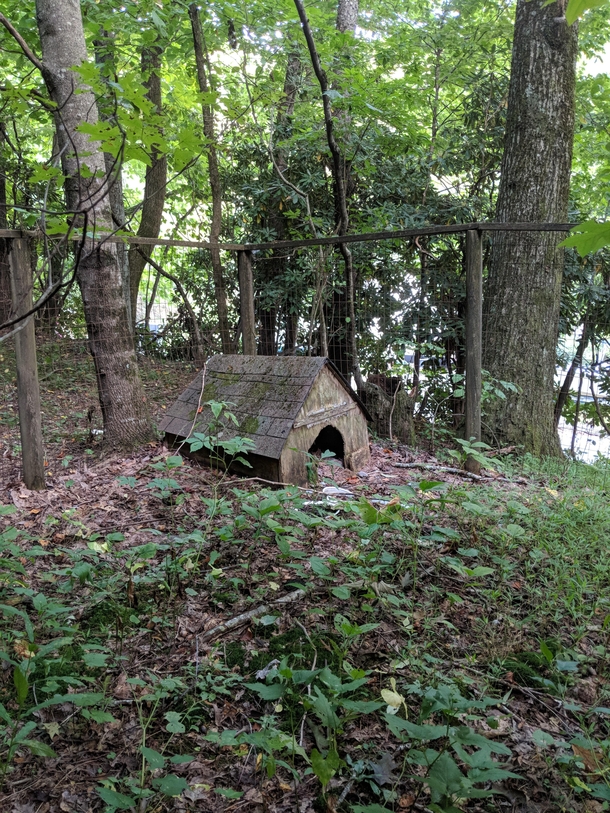 Abandoned dog house North Carolina