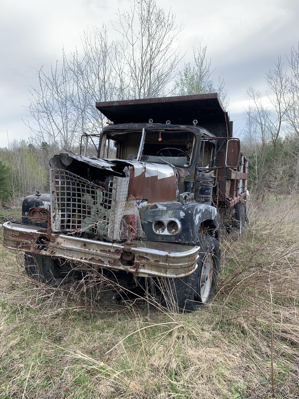 abandoned dump truck i found in the woods