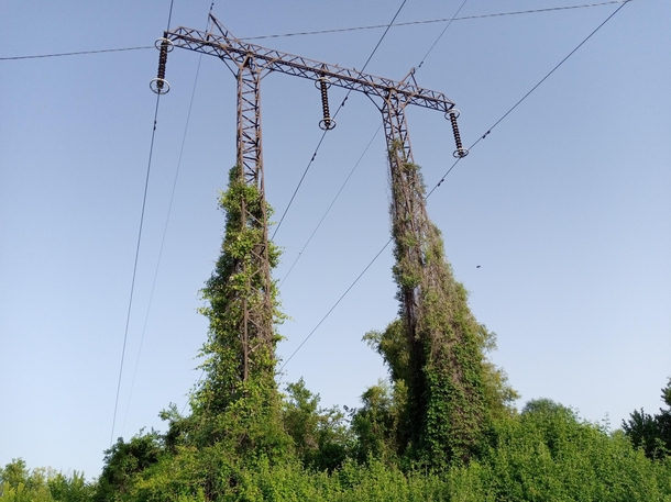 Abandoned electric pole