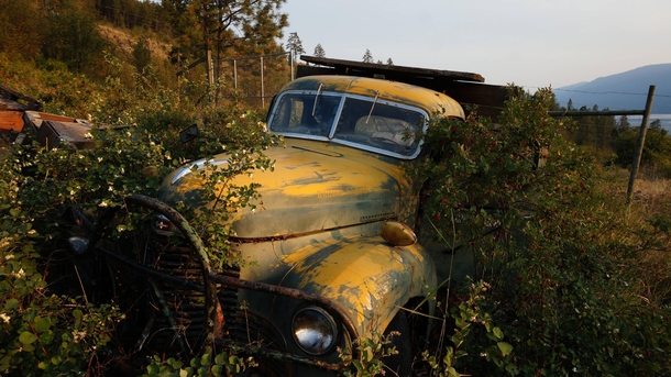 Abandoned farm truck in an orchard Okanagan Valley BC 