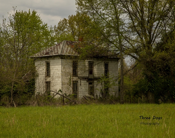 Abandoned farmhouse in Illinois x 