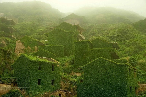 Abandoned fishing village on Goqui Island China that nature reclaimed to itself