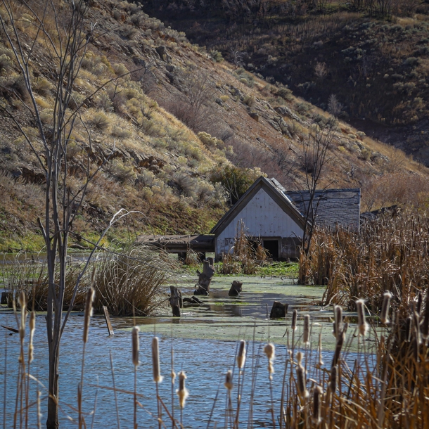 Abandoned Flooded Lake House in Rural Utah 