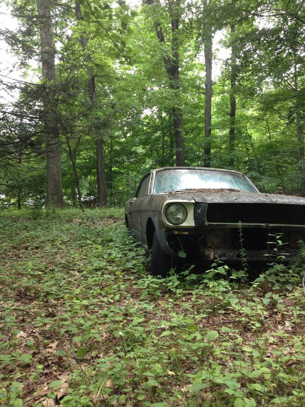 Abandoned Ford Mustang somewhere in central Connecticut 