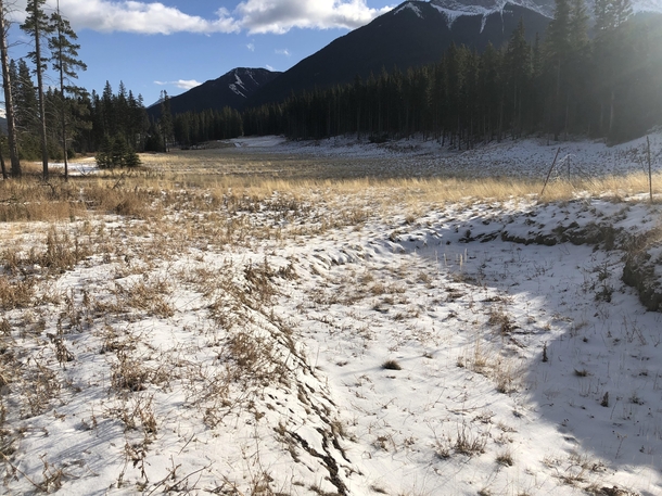 Abandoned golf course in Canmore AB  Construction never completed