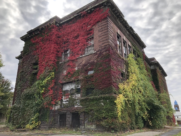 Abandoned grade school