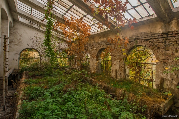 Abandoned greenhouse in autumn 