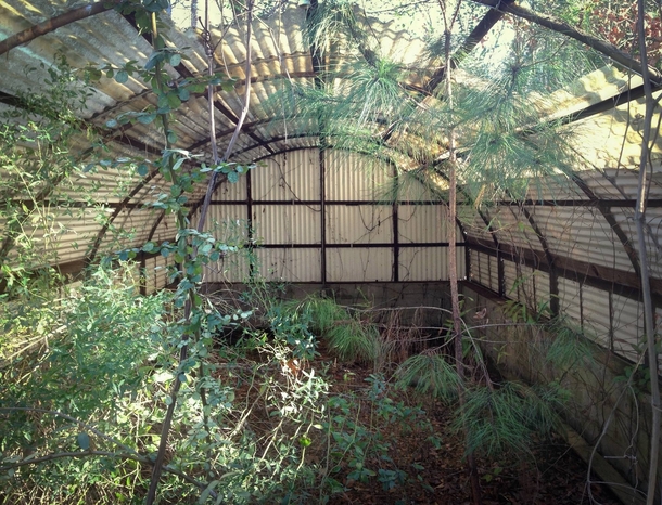 Abandoned greenhouse Jackson Mississippi