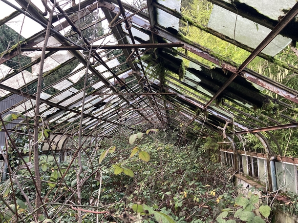Abandoned greenhouse with some interesting louver mechanisms - Milwaukie OR