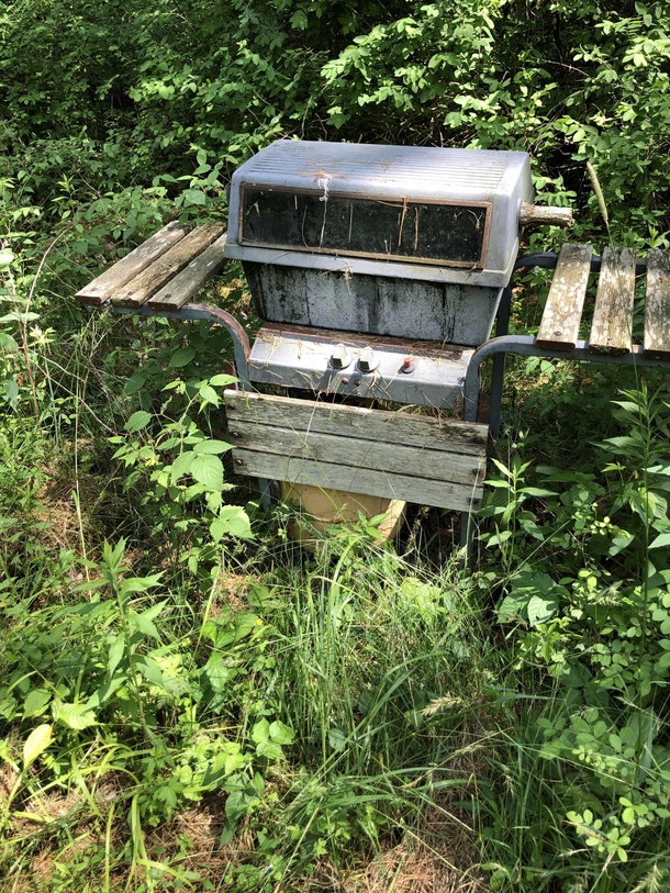 Abandoned grill I found walking through the woods