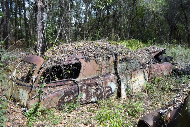 Abandoned Hearse near Dade City Florida Photo by Mike Morgan