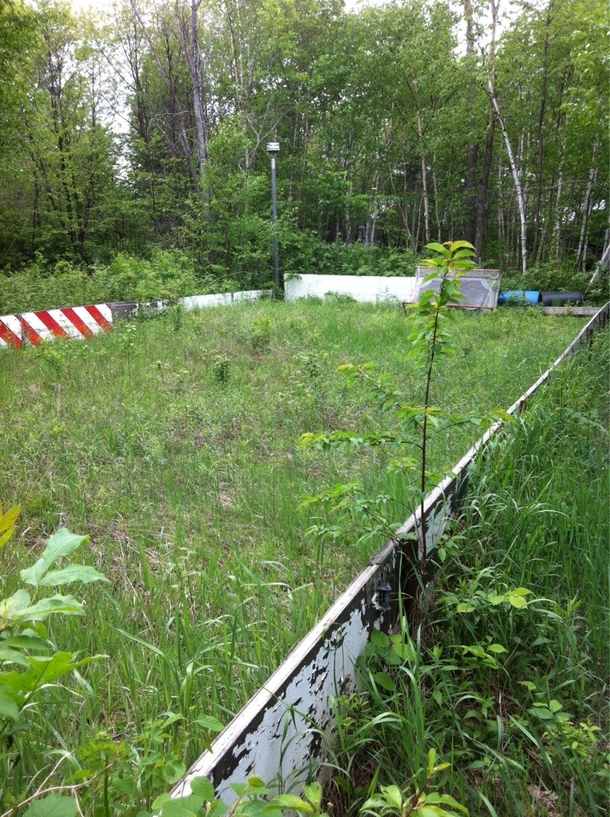 Abandoned hockey rink in the bush 