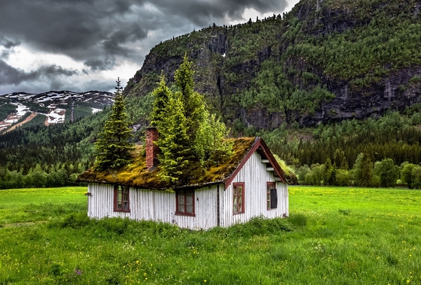 Abandoned home in Rollag Buskerud Norway reclaimed by nature  By Europe Trotter