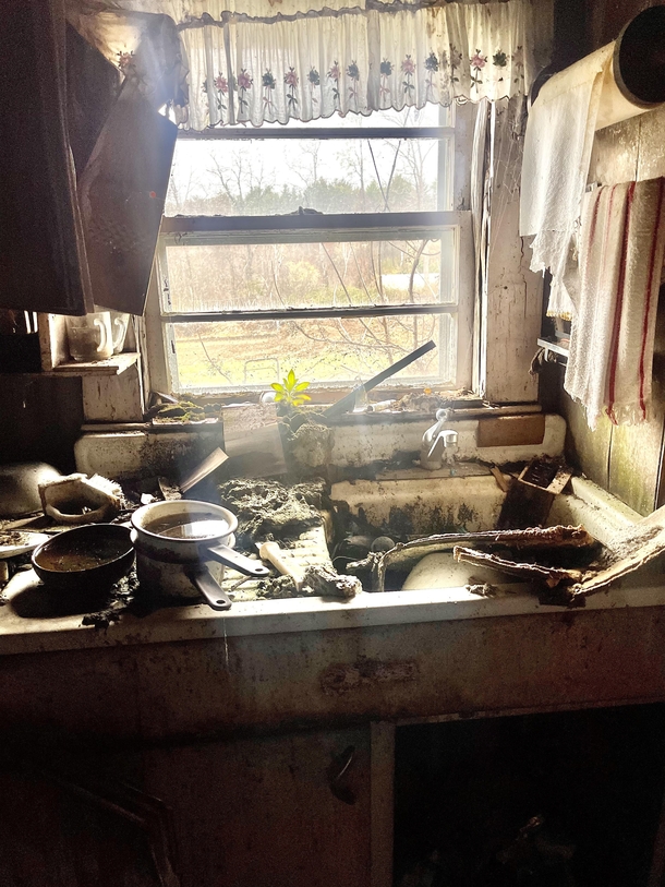 Abandoned home kitchen NH 