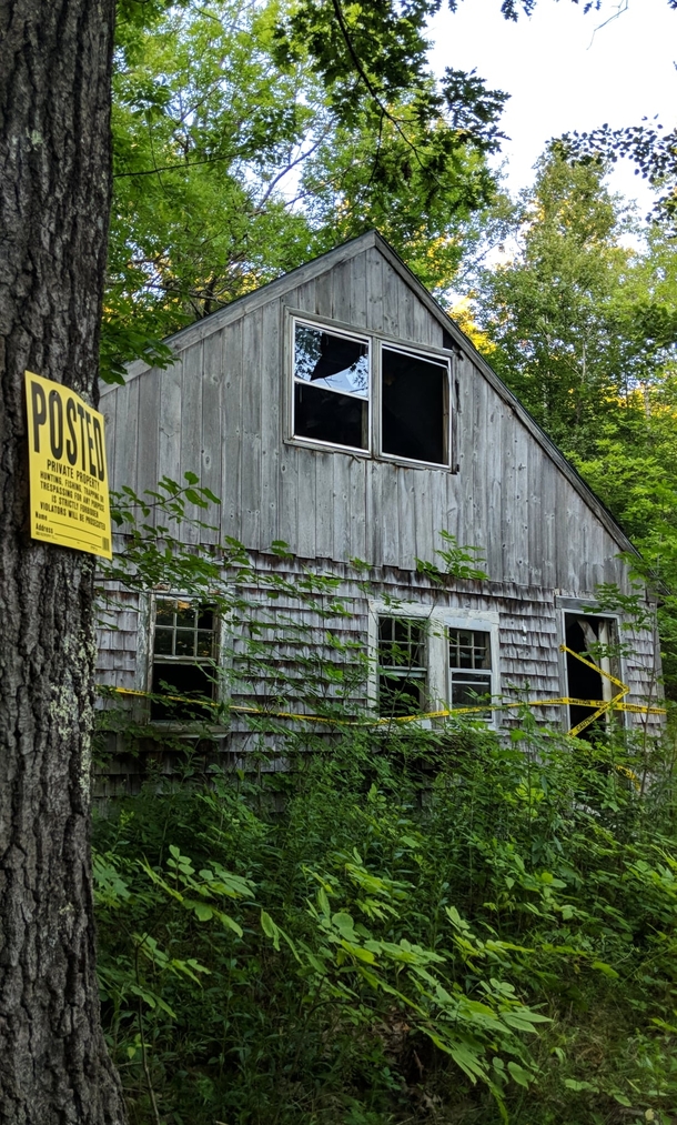 Abandoned Homestead in the heart of New England