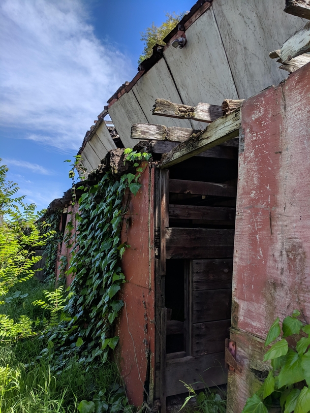 Abandoned horse stable taken over by nature CA