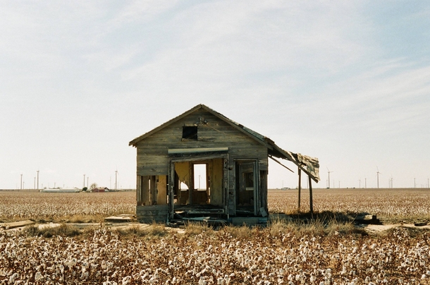 Abandoned house in a West Texas cotton field 
