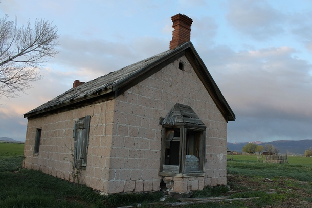 Abandoned house in one of our fields  x