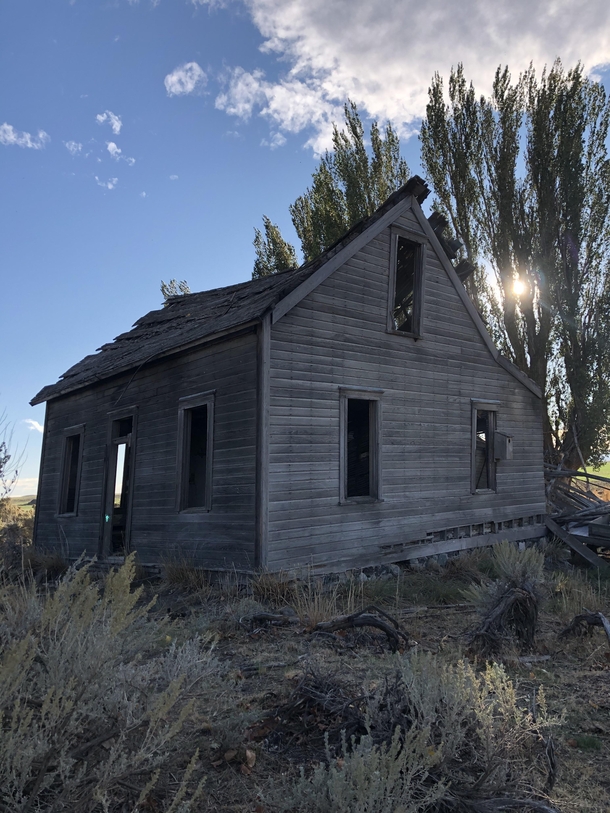 Abandoned house in the middle of Washington