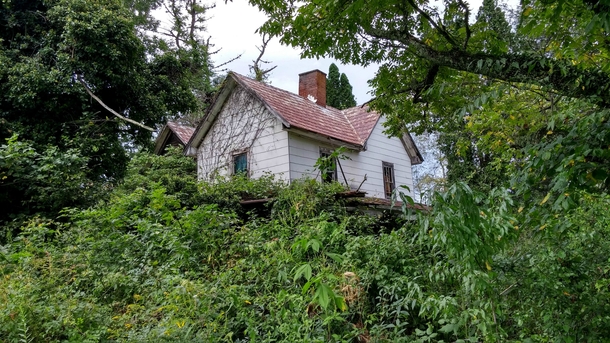 Abandoned House Reclaimed by the Wild in NC Highlands 