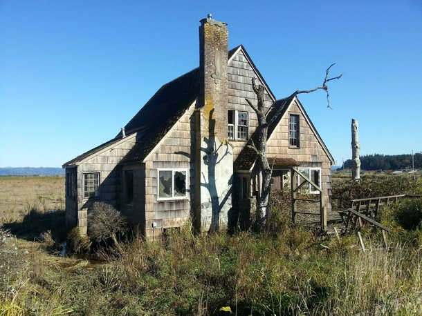 Abandoned house sinking into the marsh on the Columbia River east of Astoria Oregon 