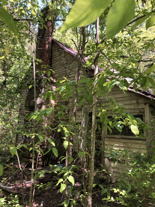Abandoned house South Carolina