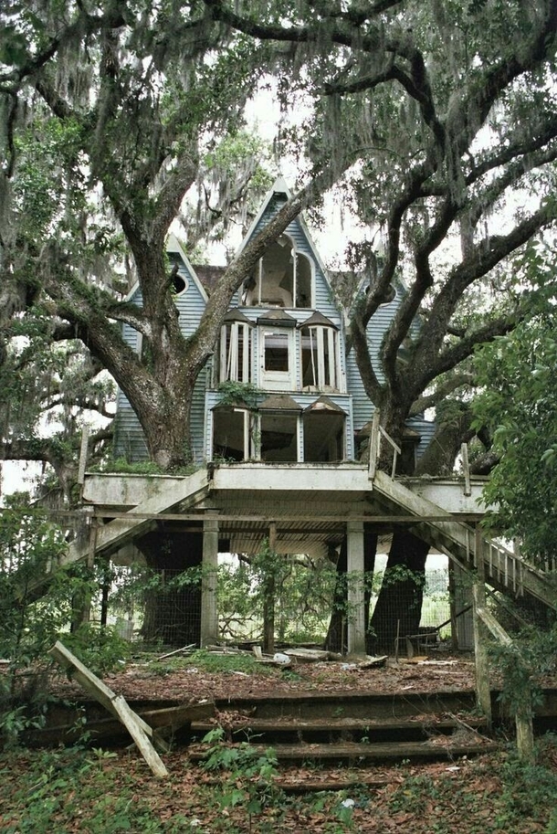 Abandoned house Would be so cool to renovate and incorporate the trees growing through it 